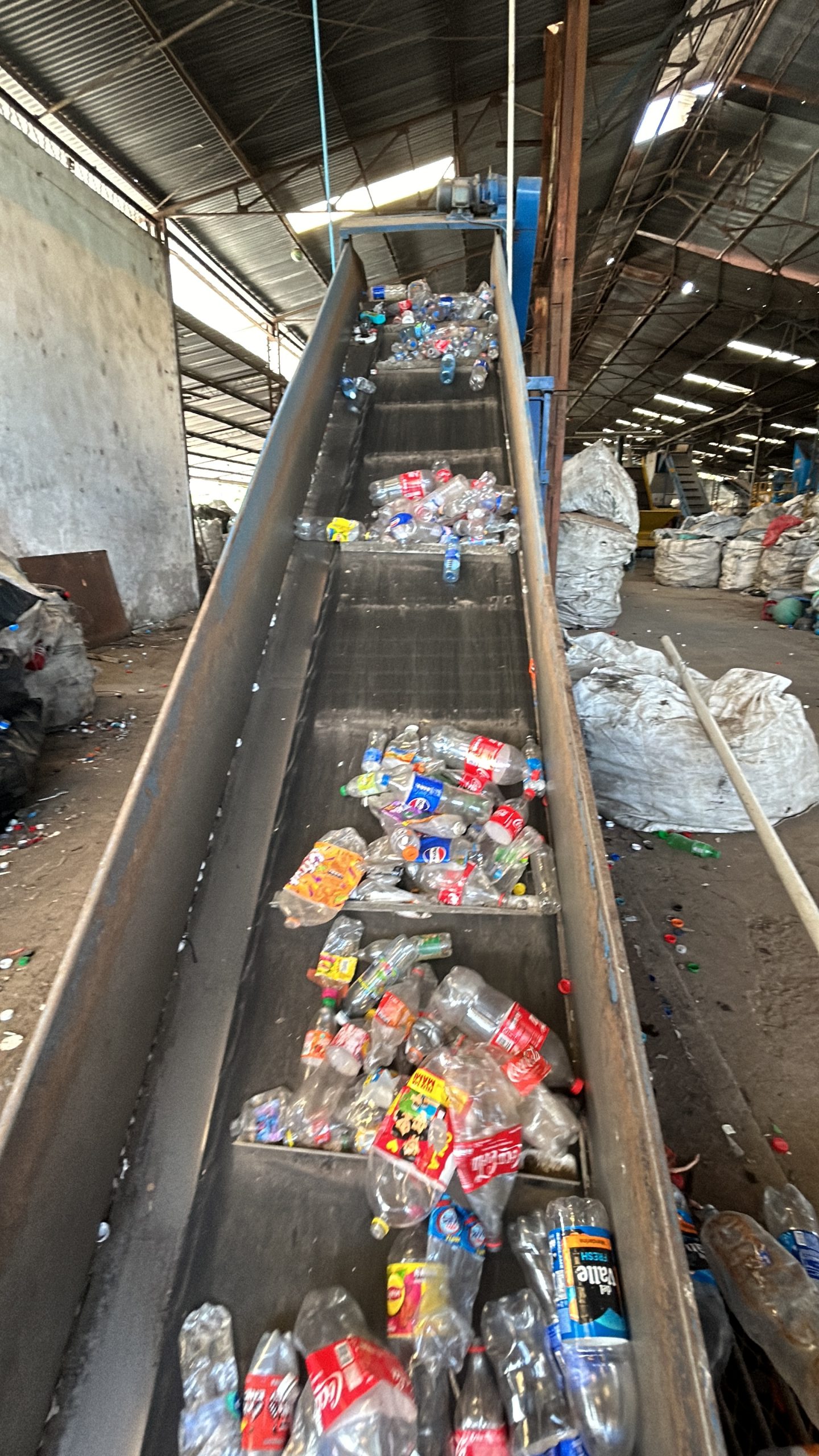 IMG_6131